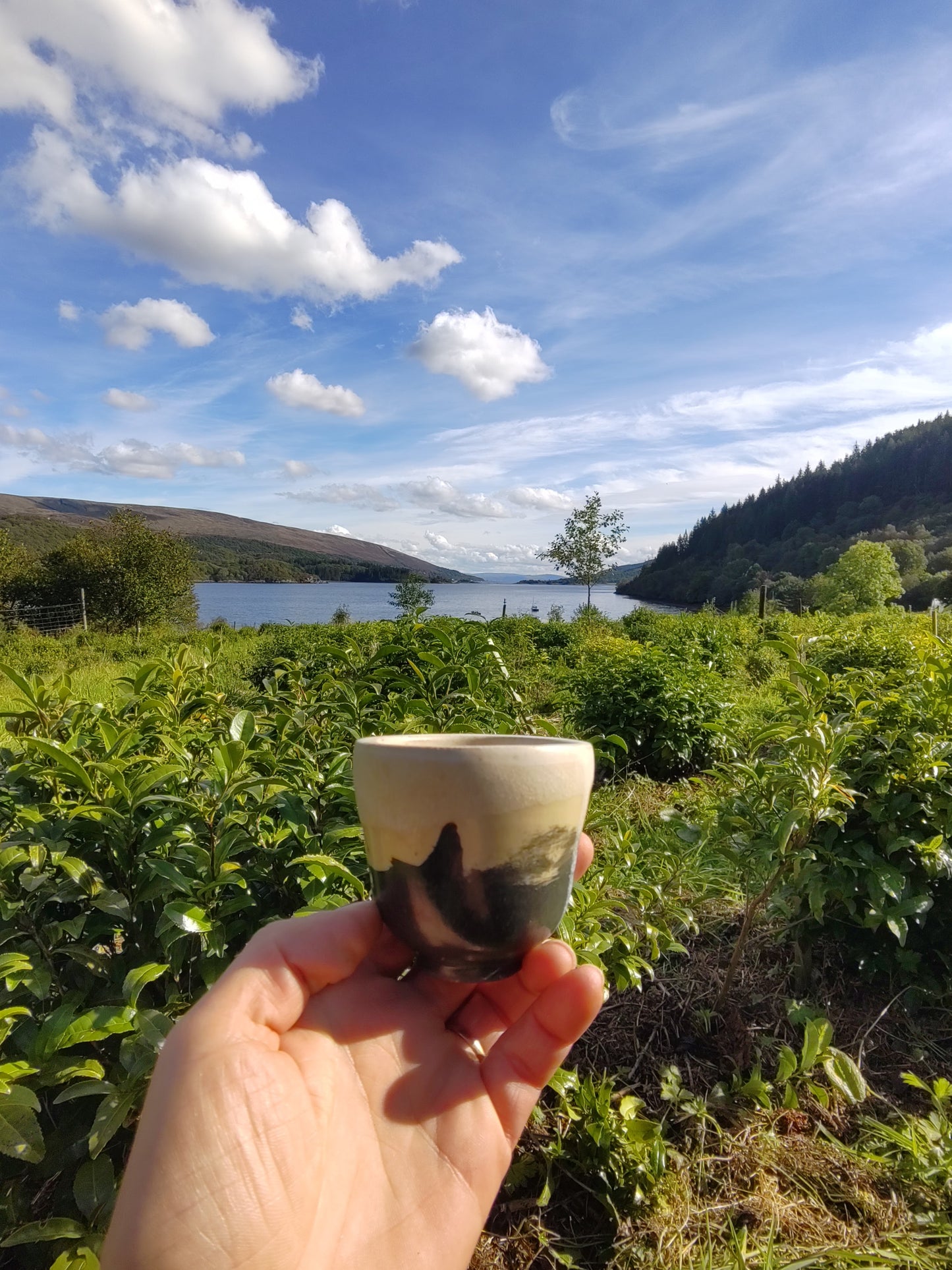 Glen Caladh Single Estate Black Tea 2025
