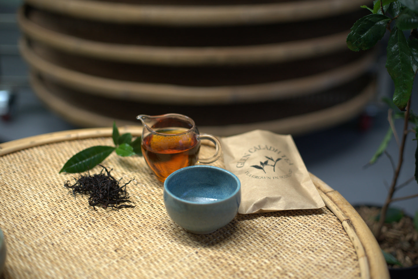 Glen Caladh Tea & Tea Bowl - Blue