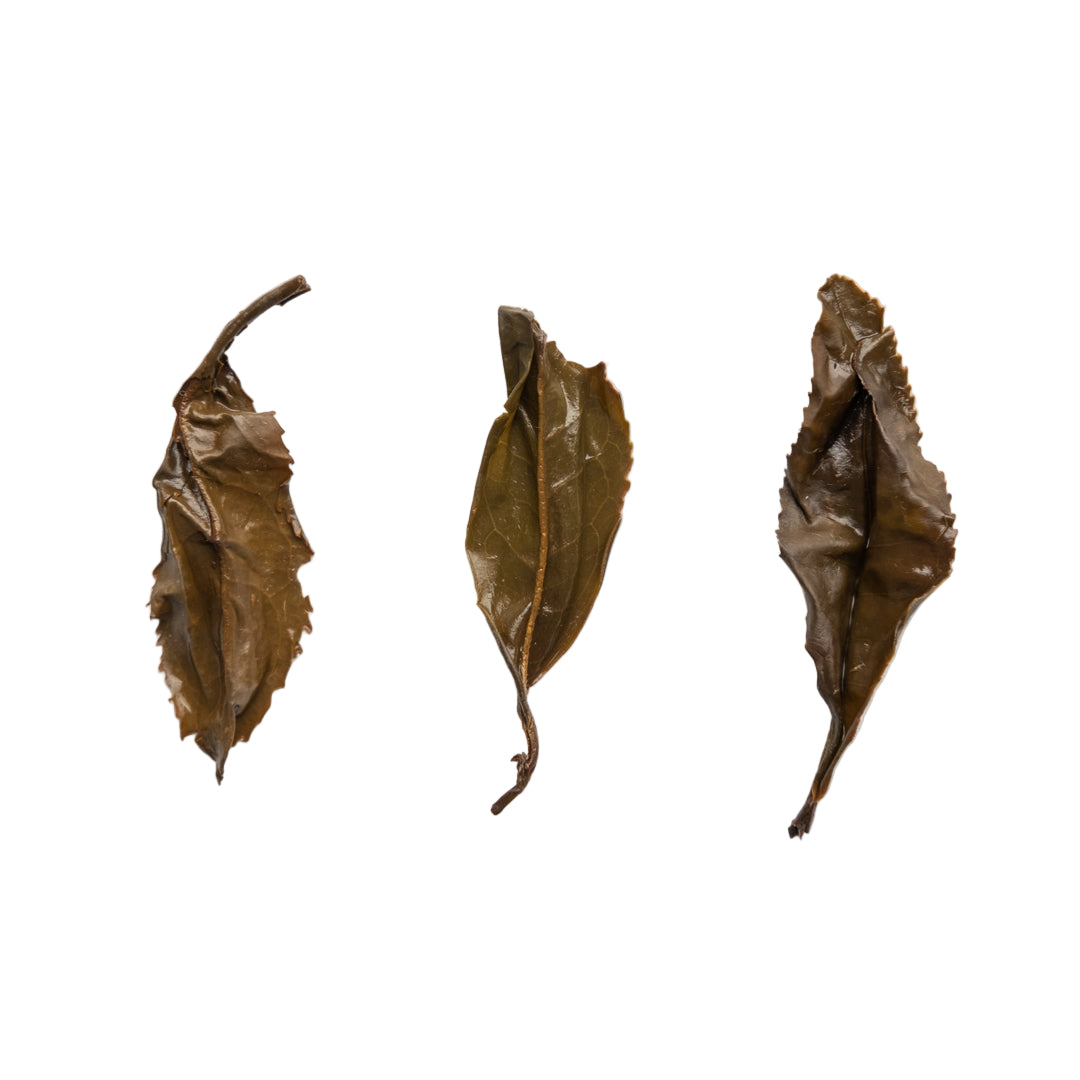 3 infused tea leaves on a white background